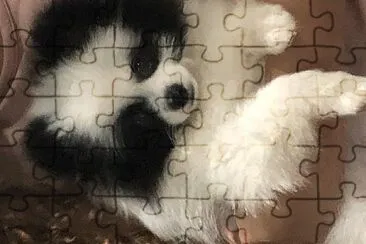 Nala jigsaw puzzle