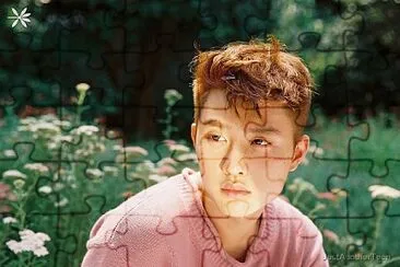 Exo D.O jigsaw puzzle