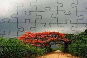 V jigsaw puzzle