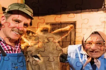 Bodin 's jigsaw puzzle