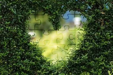 coeur jigsaw puzzle