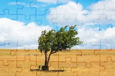 tree alone jigsaw puzzle