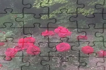 Rosas jigsaw puzzle