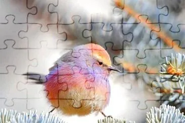 natural jigsaw puzzle