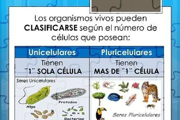 seres unicelulares