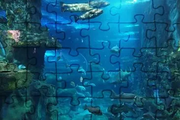 פאזל של Aquarium San Sebastian