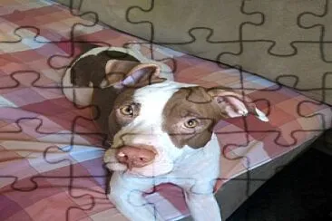 Matielli jigsaw puzzle