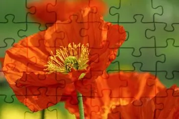 naturaleza jigsaw puzzle