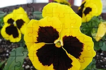 Pensamientos, jardines jigsaw puzzle