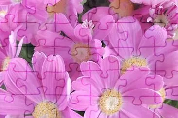 flower jigsaw puzzle