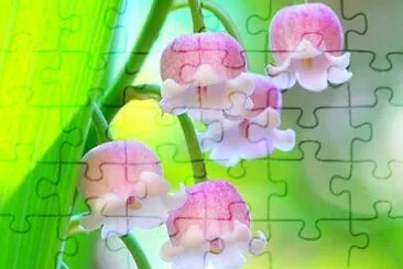 flower jigsaw puzzle