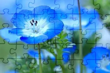 flower jigsaw puzzle