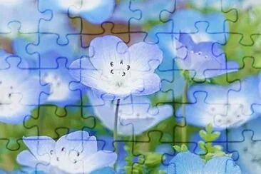 flower jigsaw puzzle