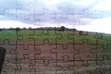 Campo Durango jigsaw puzzle