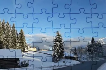 MR 009 jigsaw puzzle