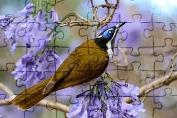 natural jigsaw puzzle