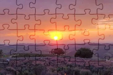 natural jigsaw puzzle