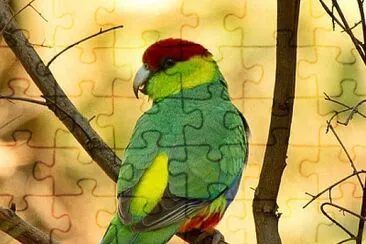 natural jigsaw puzzle