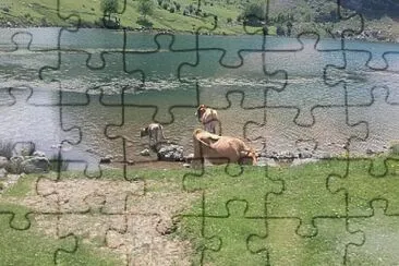 asturias jigsaw puzzle