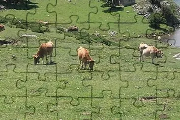 asturias jigsaw puzzle