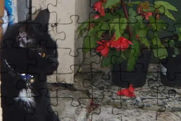 Whoopi in the garden jigsaw puzzle