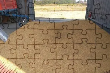 IL RISO NELL ' ESSICATOIO jigsaw puzzle