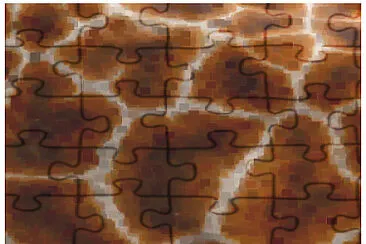 peau de girafe jigsaw puzzle