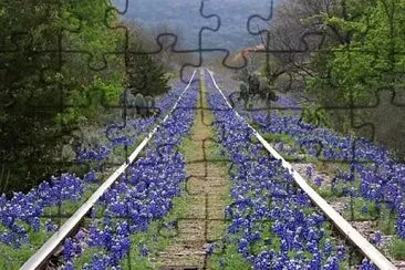 flores jigsaw puzzle