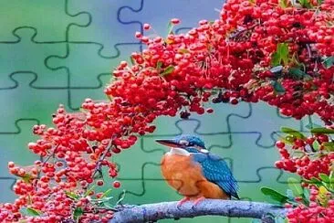 natural jigsaw puzzle