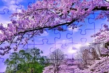 10 jigsaw puzzle