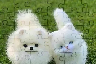 natural jigsaw puzzle