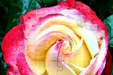 flores jigsaw puzzle