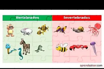 Animales