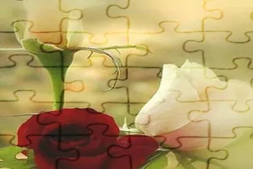 rosas jigsaw puzzle