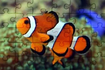 Guess the animal 6 jigsaw puzzle