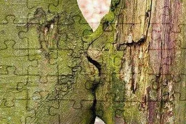 AMORE TRA ALBERI jigsaw puzzle