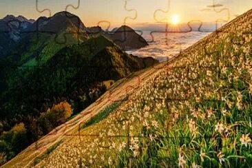 paisaje jigsaw puzzle