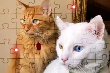 Cats Kento and Coco jigsaw puzzle