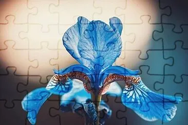 flores jigsaw puzzle