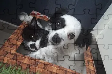 Moon and mustaches jigsaw puzzle