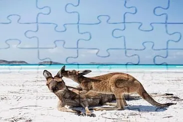 natural jigsaw puzzle