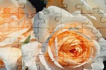 flores jigsaw puzzle