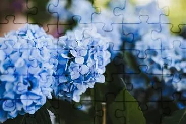 flower jigsaw puzzle