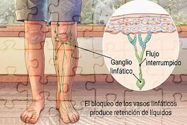 פאזל של tarea ciencias sociales