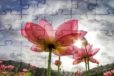 flores jigsaw puzzle