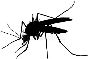 dengue