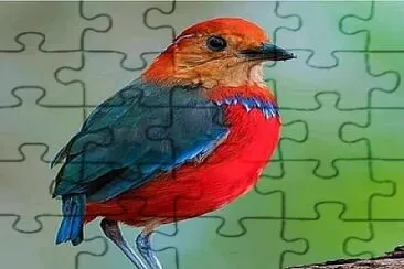 cores jigsaw puzzle