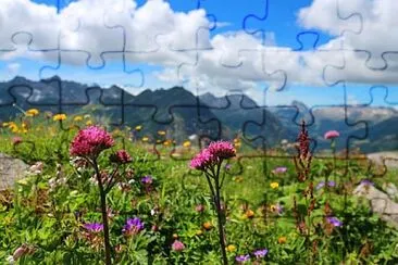 Foto jigsaw puzzle