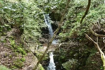 פאזל של Cascada de Friera