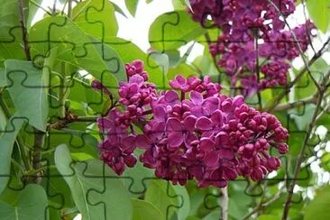 OK jigsaw puzzle